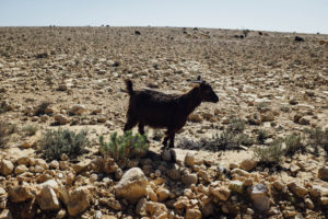 Salmah Plateau, Oman