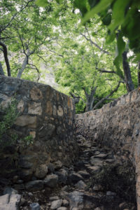 Wadi Bani Habib, Jebal Akhdar, Oman