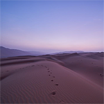 top instagramers in oman, neilwalton_, neil walton