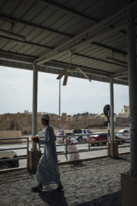 ibri animal souq